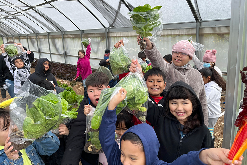 students hold lettuce at farm