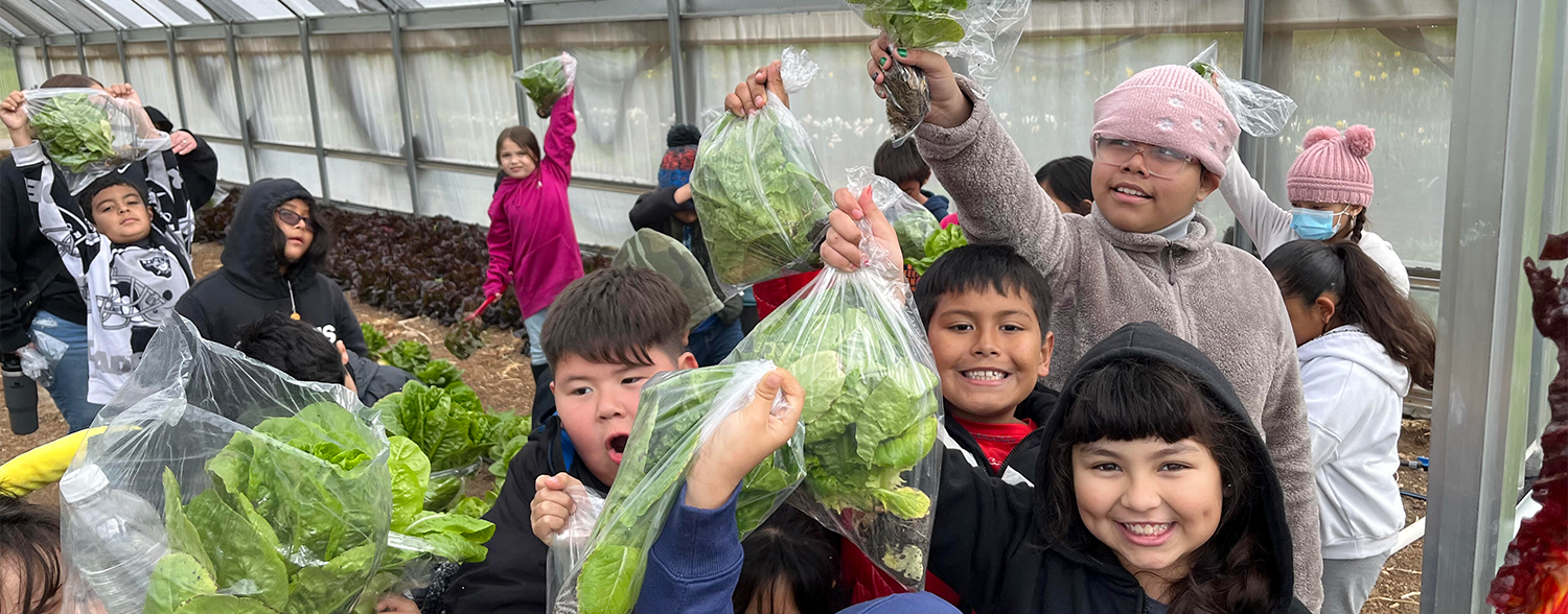 students hold lettuce on farm